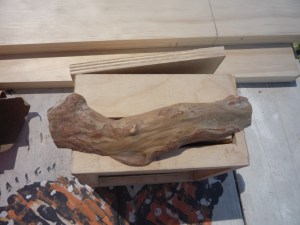 Myrtle Face Plate for Drawer