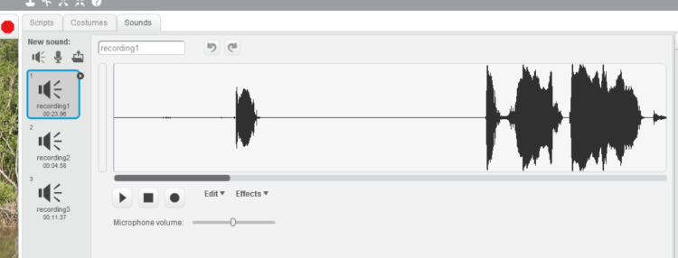 Scratch programming record